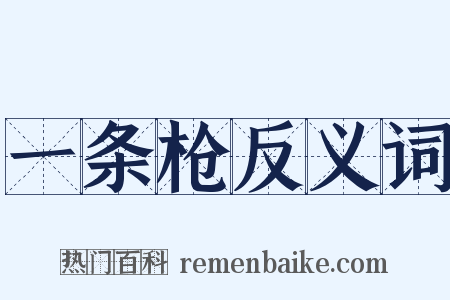 一条枪反义词是什么意思的图片